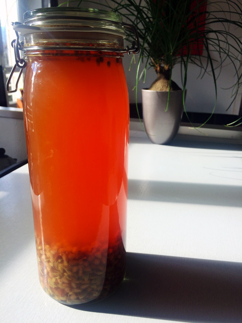 Pomegranate and passion fruit arranged rum