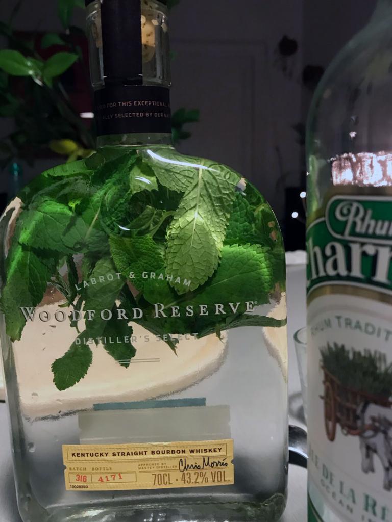 Rum arranged with mint